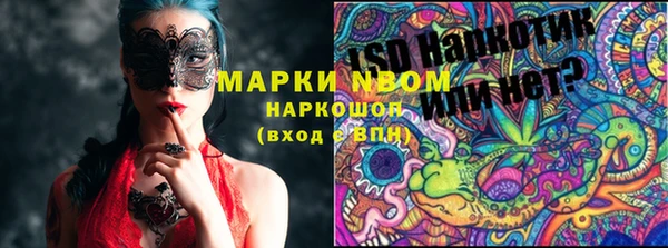 крисы Аркадак