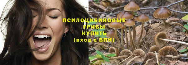 крисы Аркадак