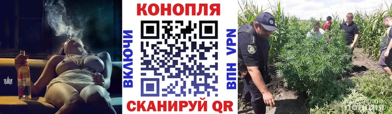 сколько стоит  MEGA как зайти  Шишки марихуана White Widow  Новоузенск 